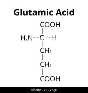 L'acido glutammico è un amminoacido. Formula chimica molecolare acido glutammico aminoacido. Illustrazione vettoriale su sfondo isolato Illustrazione Vettoriale