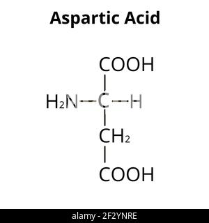 L'acido aspartico è un amminoacido. Formula molecolare chimica l'acido aspartico è un amminoacido. Illustrazione vettoriale su sfondo isolato Illustrazione Vettoriale
