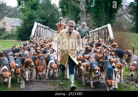 Il Excercising Percy foxhounds suoneria. Huntsman: Robert McCarthy (velo) Whipper In: Robert Truscott Foto Stock