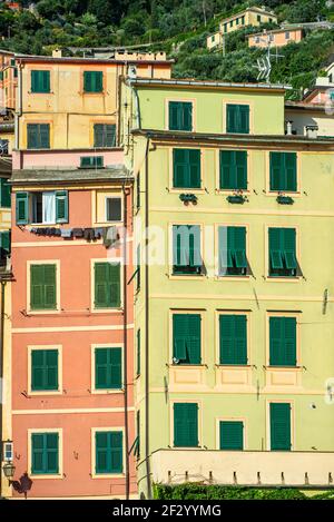 Dettaglio delle tradizionali case ligure a Camogli. Le case ligure sono alte, strette, dipinte in colori pastello e con finestre verdi Foto Stock