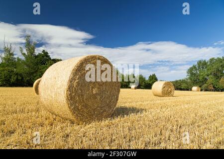 Bella vista panoramica di un campo con balle di paglia e un cielo blu con nuvole. Foto Stock