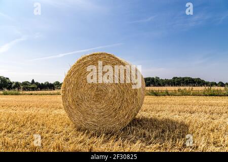 Bella vista panoramica di un campo con balle di paglia e un cielo blu con nuvole. Foto Stock