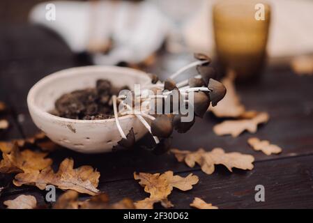 Un primo piano di funghi selvatici su un bellissimo design tavolo per matrimoni nella foresta Foto Stock