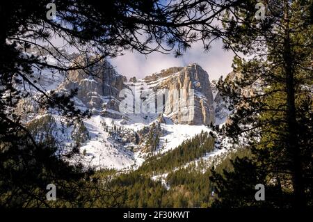 Prat de Cadí e la parete nord della Serra del Cadí in primavera (Cerdanya, Catalogna, Spagna, Pirenei) ESP: Prat de Cadí y la cara norte del Cadí Foto Stock