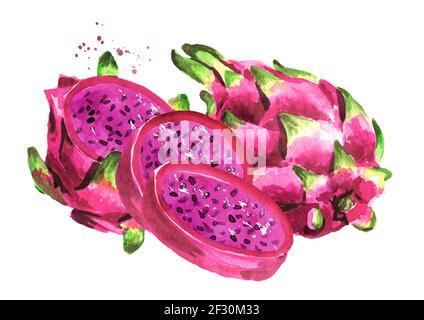 Pitaya. Rosso o viola Dragon Fruit. Illustrazione di acquerello disegnata a mano isolata su sfondo bianco Foto Stock