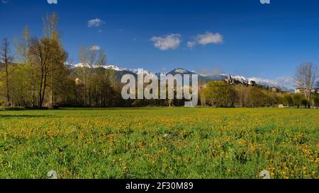 La catena della Serra del Cadí vista dal Bellver de Cerdanya in primavera (Cerdanya, Catalogna, Spagna, Pirenei) Foto Stock