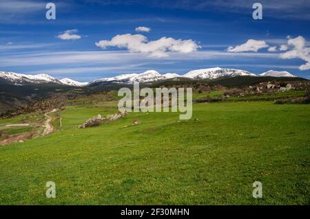 Cime di Tossal de Bovinar e Tossa Plana de Lles viste da Lles de Cerdanya in primavera (Cerdanya, Catalogna, Spagna, Pirenei) Foto Stock