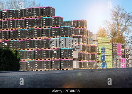 molte scatole di trasporto sono impilate l'una sull'altra su pallets in euro Foto Stock