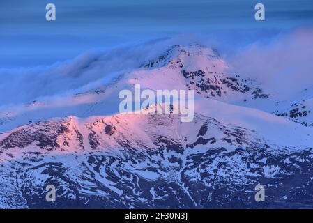 Alba invernale dalla cima Taga. Vista sulla vetta del Puigmal (Ripollès, Catalogna, Spagna, Pirenei) Foto Stock