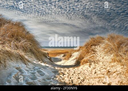 Dune sulla costa del Mare del Nord a Rindby a Fanoe, Danimarca Foto Stock