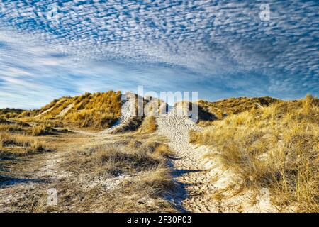 Dune sulla costa del Mare del Nord a Rindby a Fanoe, Danimarca Foto Stock