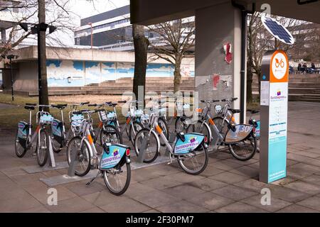 Stazione di bike sharing metropolradruhr nel campus della Ruhr University Bochum, Nord Reno-Westfalia, Germania. Stazione fuer metropolradruhr Miet Foto Stock