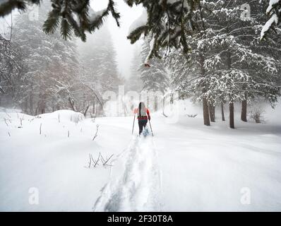 La donna che indossa scarpe da spettacolo cammina nella foresta innevata invernale ad Almaty, Kazakistan Foto Stock