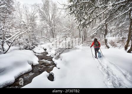 La donna che indossa scarpe da spettacolo cammina nella foresta innevata invernale vicino al fiume ad Almaty, Kazakistan Foto Stock