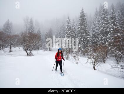 La donna che indossa scarpe da spettacolo cammina nella foresta innevata invernale ad Almaty, Kazakistan Foto Stock