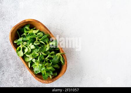 Insalata di cress fresca cruda in ciotola di olive di legno su uno sfondo di pietra chiaro. Messa a fuoco selettiva. Vista dall'alto. Posiziona per il testo Foto Stock