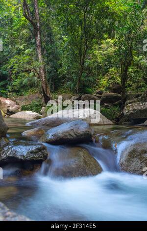 Un viaggio alle cascate Josephine a Queensland, Australia Foto Stock