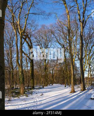 Una passeggiata nella zona ricreativa Sechs-Seen-Platte a Duisburg Wedau in una giornata invernale soleggiata e fredda Foto Stock