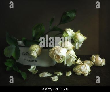 Ancora vita con un bouquet di rose bianche appassite. Vintage. Foto Stock