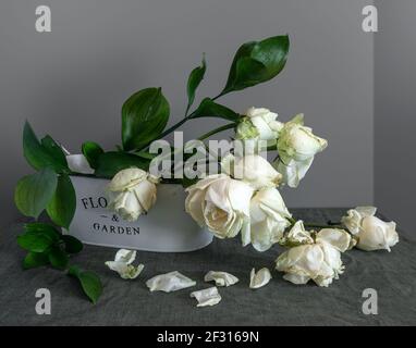 Ancora vita con un bouquet di rose bianche appassite. Vintage. Foto Stock