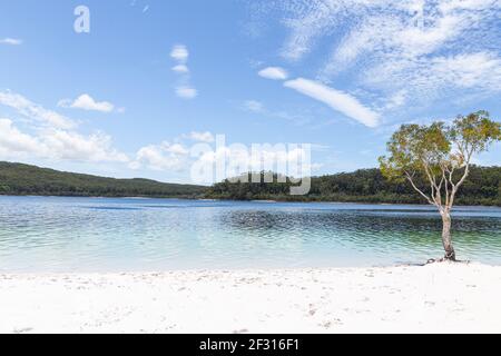 Lago McKenzie su Fraser Island a Queensland, Australia Foto Stock