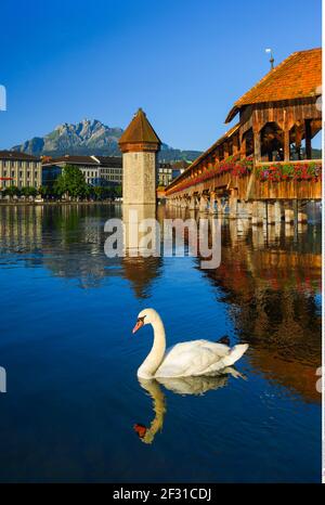 Geografia / viaggio, Svizzera, Kapellbruecke con Pilatus, Lucerna, diritti aggiuntivi-liquidazione-Info-non-disponibile Foto Stock