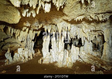 Grotte di Kiwengwa sull'isola di Zanzibar in Tanzania, adorano gli antenati della gente del posto, doni alle pietre sante, stalagmiti e stalattiti formate dal dissolv dell'acqua Foto Stock