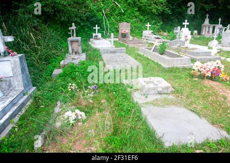 Seychelles, l'isola di la Digue, nuovo cimitero tropicale a la Passe. Vista delle lapidi con croce Foto Stock