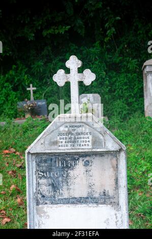 Seychelles, l'isola di la Digue, nuovo cimitero tropicale a la Passe. Vista della lapide con croce Foto Stock