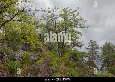 Splendida vista dalla montagna alla natura con vista sul Mar Baltico. Le cime degli alberi verdi della foresta sullo sfondo di un cielo tempestoso su una nuvolosa estate d Foto Stock