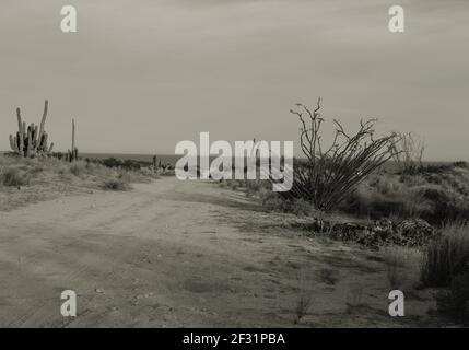 Strada sterrata nel deserto di sonora con il Golfo della California Mare di Cortex oceano in lontananza, vicino a San Felipe, Baja California, Messico. Foto Stock