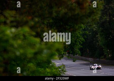 08 ALONSO Fernando (spa), BUEMI Sebastien (che), NAKAJIMA Kazuki (jpn), Toyota TS050 ibrida lmp1 del team Toyota Gazoo Racing, azione durante la 24 le Mans 2019 ore di gara, dal 15 al 16 giugno sul circuito di le Mans, Francia - Foto Xavi Bonilla/DPPI Foto Stock