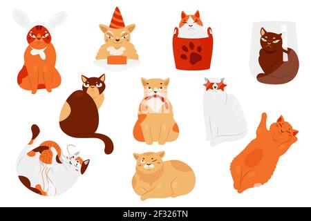 Cuccioli di gatto e simpatici gattini in diversi set di pose, gioco di caratteri gattino grasso, dormire Illustrazione Vettoriale