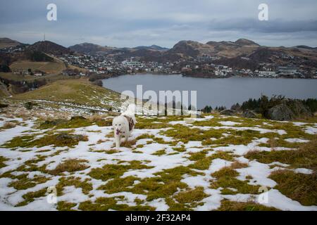 Vista mozzafiato a volo d'uccello del lago ghiacciato in Norvegia. Paesaggio mozzafiato fiordi panoramici in inverno, calma bellezza della natura Foto Stock