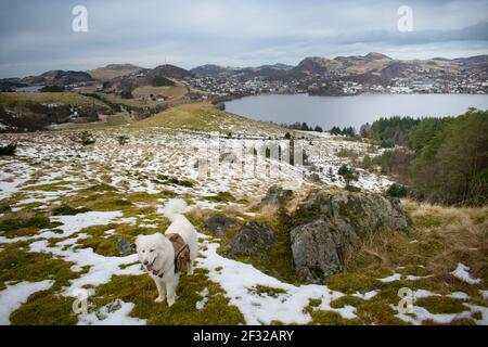 Vista mozzafiato a volo d'uccello del lago ghiacciato in Norvegia. Paesaggio mozzafiato fiordi panoramici in inverno, calma bellezza della natura Foto Stock