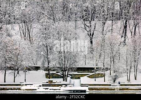 Parco invernale con alberi contrastanti e nuvoloso giorno Foto Stock