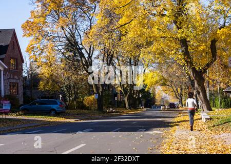 Montreal Street in autunno, Victoria Avenue, Westmount, QC Foto Stock