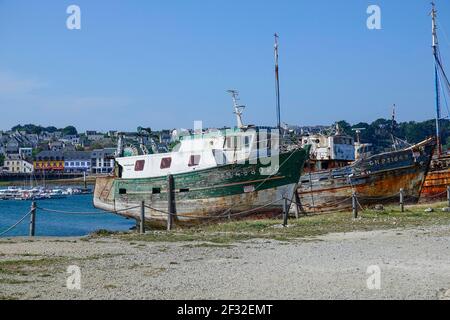 Naufragi cimitero delle navi nel porto di Camaret-sur-Mer sulla penisola di Crozon, Finistere Penn ar Bed dipartimento, Bretagna Breizh regione, Atlantico Foto Stock