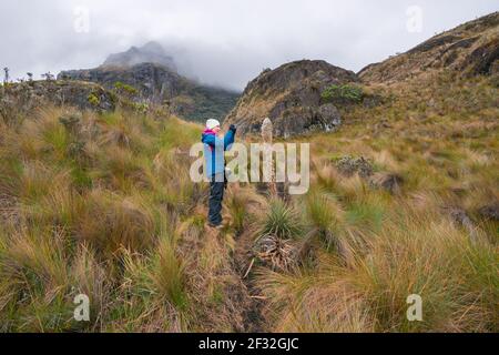 Una giovane donna in azione di fotografare la bellezza della flora nel Parco Nazionale di Cajas vicino Cuenca, Ecuador Foto Stock