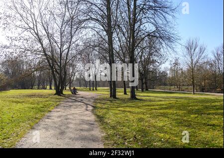 Primavera a Francoforte sul meno, Assia, Germania, tempo corona. Fiori croci violetti, croco, bianche nevicate su erba verde nel Parco vicino al fiume Nidda Foto Stock