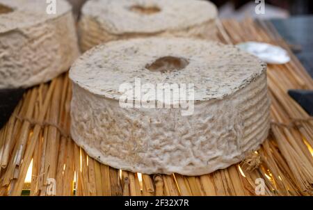 Raccolta di formaggi, formaggio francese Rouelle du Tarn a partire da latte crudo di capra nella regione Tarn in Francia primo piano Foto Stock