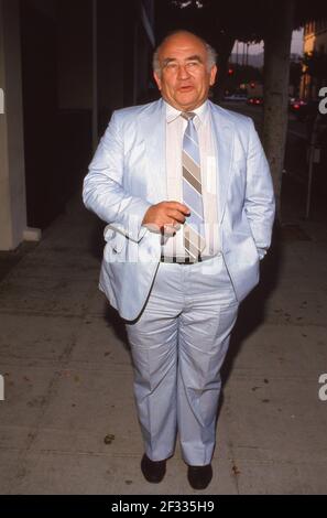 BEVERLY HILLS, CA - MAGGIO 18: L'attore ed Asner partecipa alla proiezione di 'Cracked Up' il 18 Maggio 1987 al Writer's Guild Theatre di Beverly Hills, California. Credito: Ralph Dominguez/MediaPunch Foto Stock