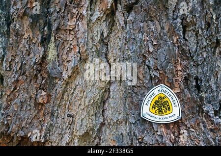 Pacific Northwest Trail segno su un vecchio larice occidentale lungo Bunker Creek Trail. Yaak Valley, Montana. (Foto di Randy Beacham) Foto Stock