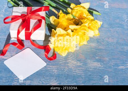 Narcisi gialli luminosi, scatola regalo bianca con nastro rosso e cartoncino bianco vuoto su sfondo di legno blu. Biglietto d'auguri per il giorno della madre, il compleanno, il matrimonio Foto Stock