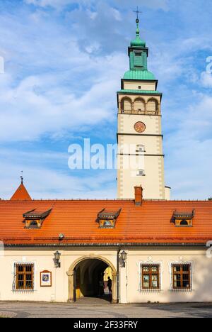 Zywiec, Polonia - 30 agosto 2020: Porta principale per il Palazzo degli Asburgo, il Castello Vecchio e il Parco del Castello di Zywiec con la torre della Cattedrale nel centro storico della città