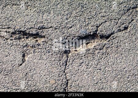 Struttura della superficie dell'asfalto incrinata. Pootole strada o marciapiede, marciapiede rotto. Mancanza di riparazioni tempestive delle infrastrutture Foto Stock