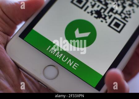 La persona mostra il passaporto sanitario della certificazione di vaccinazione sul telefono cellulare all'aeroporto, per certificare che sono stati vaccinati con coronavirus covid-19 Foto Stock
