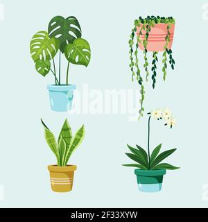 Raccolta di belle piante domestiche in pentole illustrazione vettoriale. Illustrazione Vettoriale