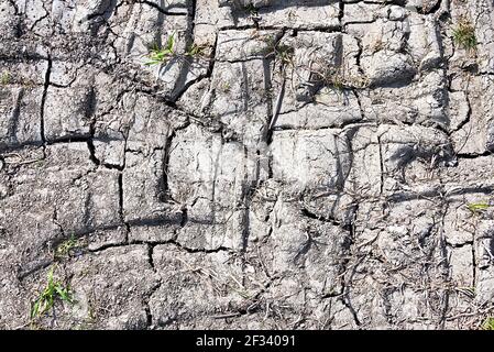 terra di paese diviso, vita di paese, dissodamento, sfondo, struttura Foto Stock