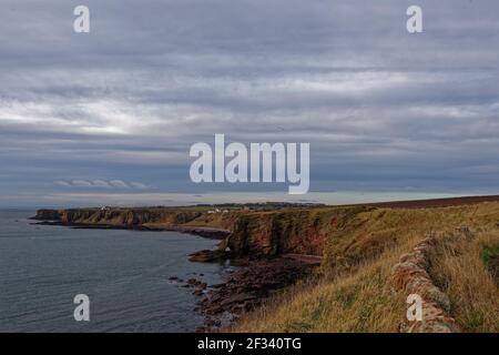 Guardando verso Castle Rock e Maiden Stane vicino al Piccolo villaggio di Auchmithie dal Sentiero costiero Angus on The Cliff Edge accanto a un Drystone w Foto Stock